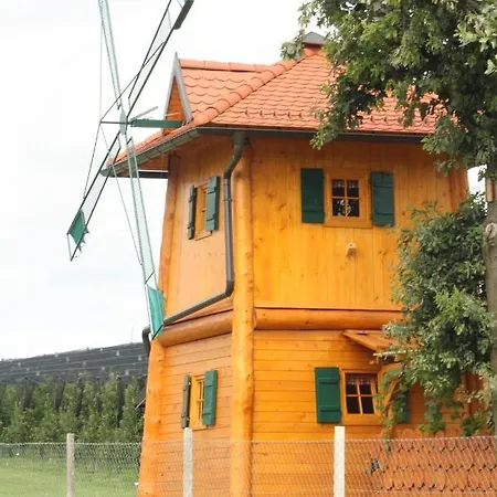 Unique Wooden House In Nature