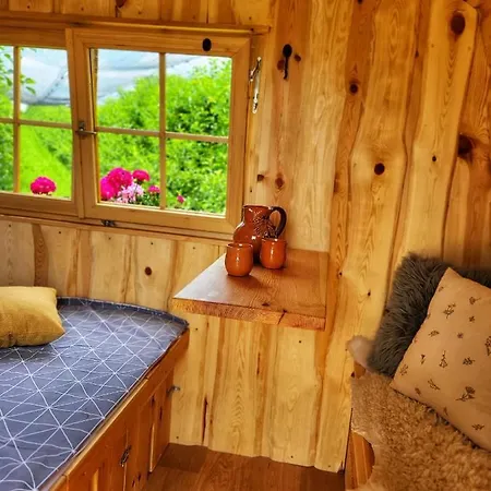 Unique Wooden House In Nature