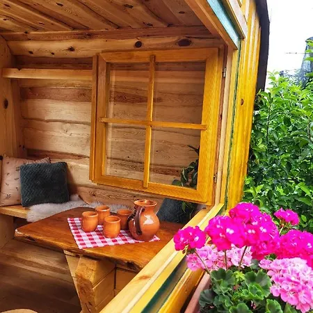 Unique Wooden House In Nature