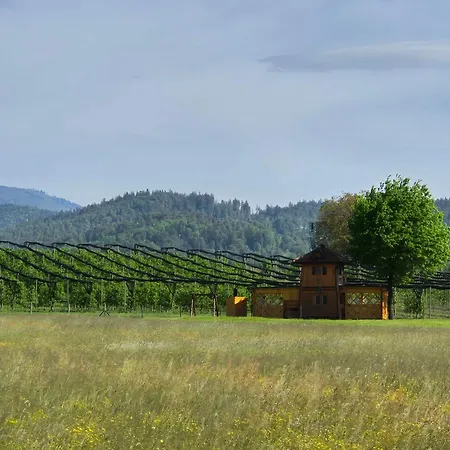 Unique Wooden House In Nature シャレー Lukovica pri Domžalah