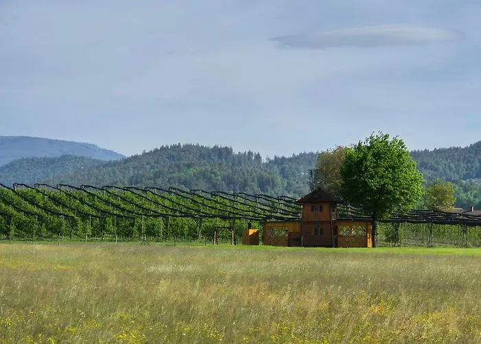 Unique Wooden House In Nature Chalet Lukovica pri Domžalah